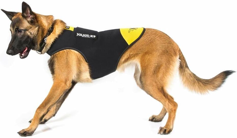 Julius-K9, IDC Neoprene Hundekleidung, Size: XL, Schwarz und Gelb XL Schwarz und Gelb, XL Schwarz un
