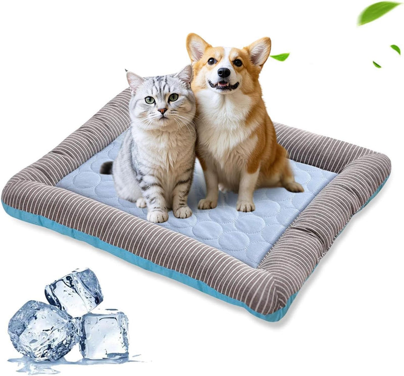 PETCUTE Hundebett Katzenbett Katzen Tiere Hundedecke Hundekorb,Hundebett Grosse Mittlere Kleine Hund
