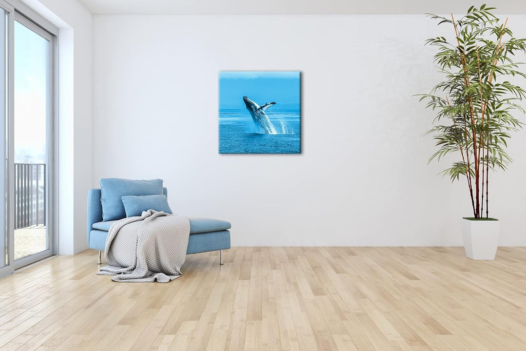 deyoli atemberaubender Buckelwal im Meer Format: 40x40 Effekt: Monocrome Blau als Leinwandbild, Moti