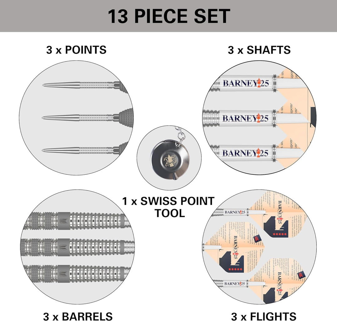 Target Darts Raymond Van Barneveld RVB 25 Year Edition 95% Wolfram Swiss Point Stahlspitze Darts Set