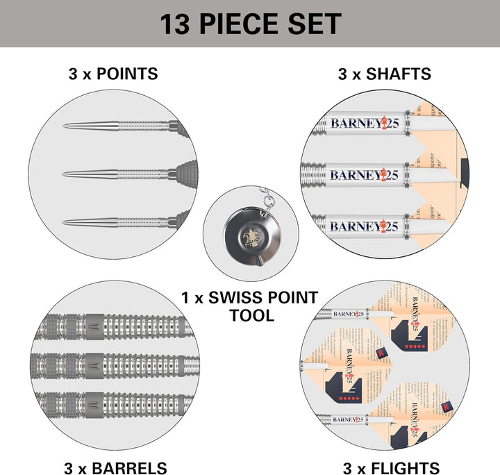 Target Darts Raymond Van Barneveld RVB 25 Year Edition 95% Wolfram Swiss Point Stahlspitze Darts Set