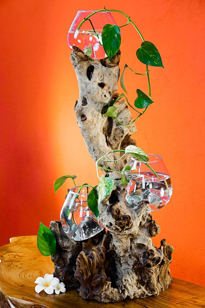 Kinaree Geschmolzenes Glas auf Wurzelholz - Glasschale auf Wurzel - Teak Holz mit Glasvase oder Scha
