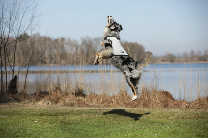 cani.cool Kühlweste Hunde, Grösse M, silber, M