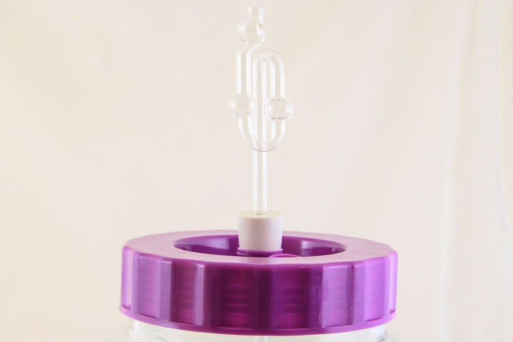 chomik Glasballon 5L Multifunktions +Stopfen+Glasgährrohr Gärballon Wein Bier Machen