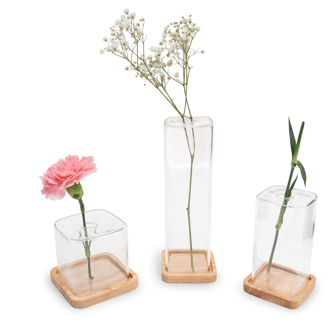 LUUK LIFESTYLE Glasvasen Cube, Deko, kleine Vase, Vasen-Set, minimalistisch, kleine Vase, quadratisc