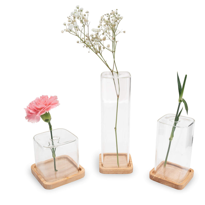 LUUK LIFESTYLE Glasvasen Cube, Deko, kleine Vase, Vasen-Set, minimalistisch, kleine Vase, quadratisc