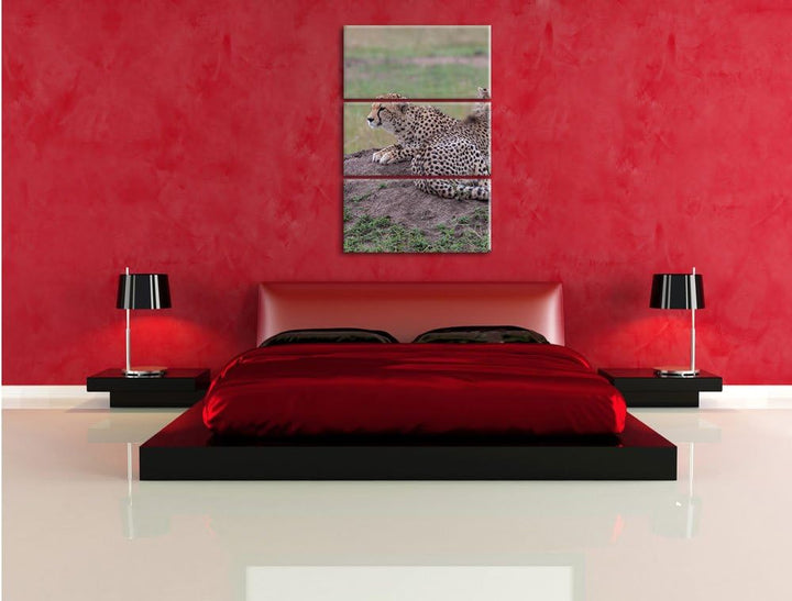 Pixxprint prächtige Geparden auf Stein / 3-Teilig/Gesamtmass 120cm Leinwandbild bespannt auf Holzrah