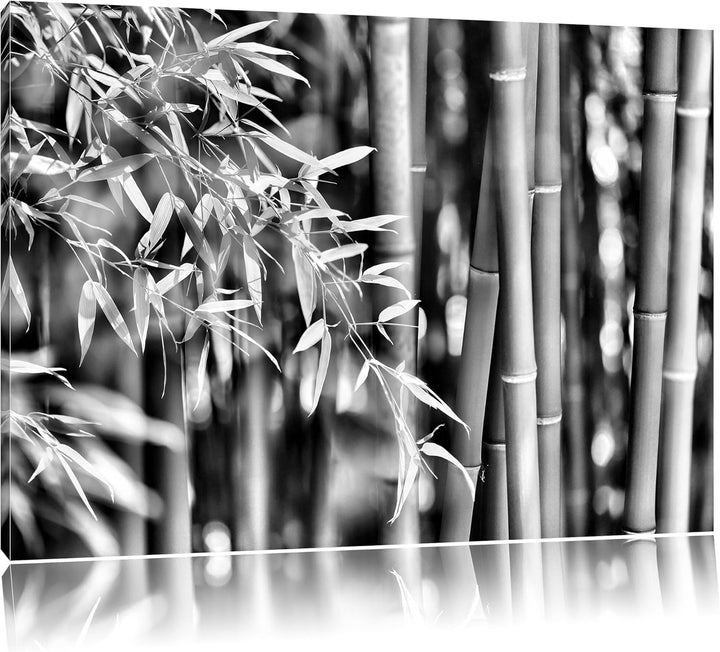 Pixxprint Bambus mit Blättern als Leinwandbild/Grösse: 100x70 / Wandbild/Kunstdruck/fertig bespannt,