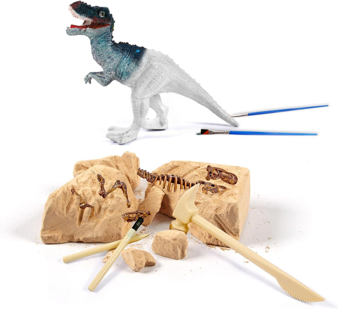 EGGBOX Dinosaurier Skelett Ausgrabungsset für Kinder, 2-in-1 Dino Dig & Malset, Dinosaurier Spielzeu