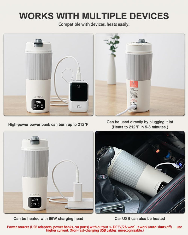 Travel Electric Kettle with Dual interface heating Europlug and USB C port, 316 Stainless Steel, 650