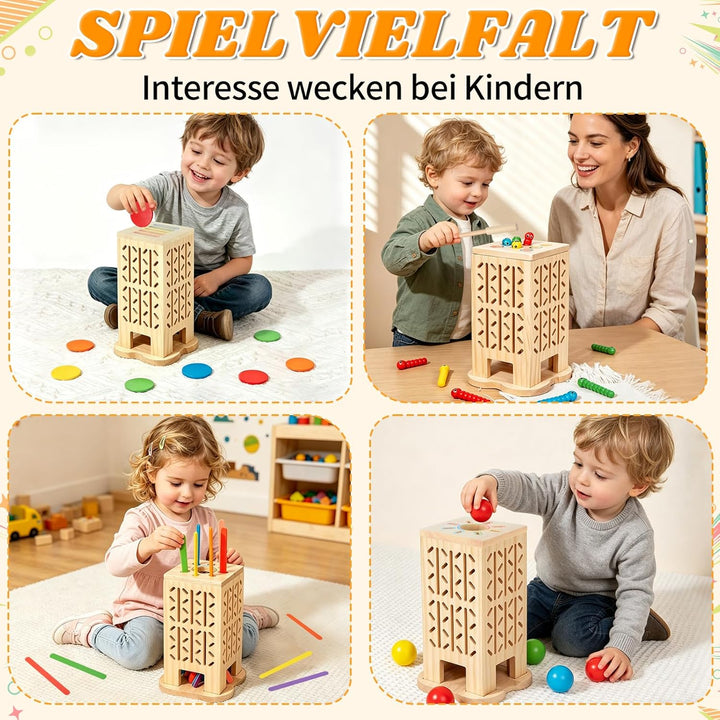 Montessori Spielzeug ab 3 Jahre, Sensorik Spielzeug Montessori Spielzeug ab 1 Jahr, 5-in-1 Holz Sort