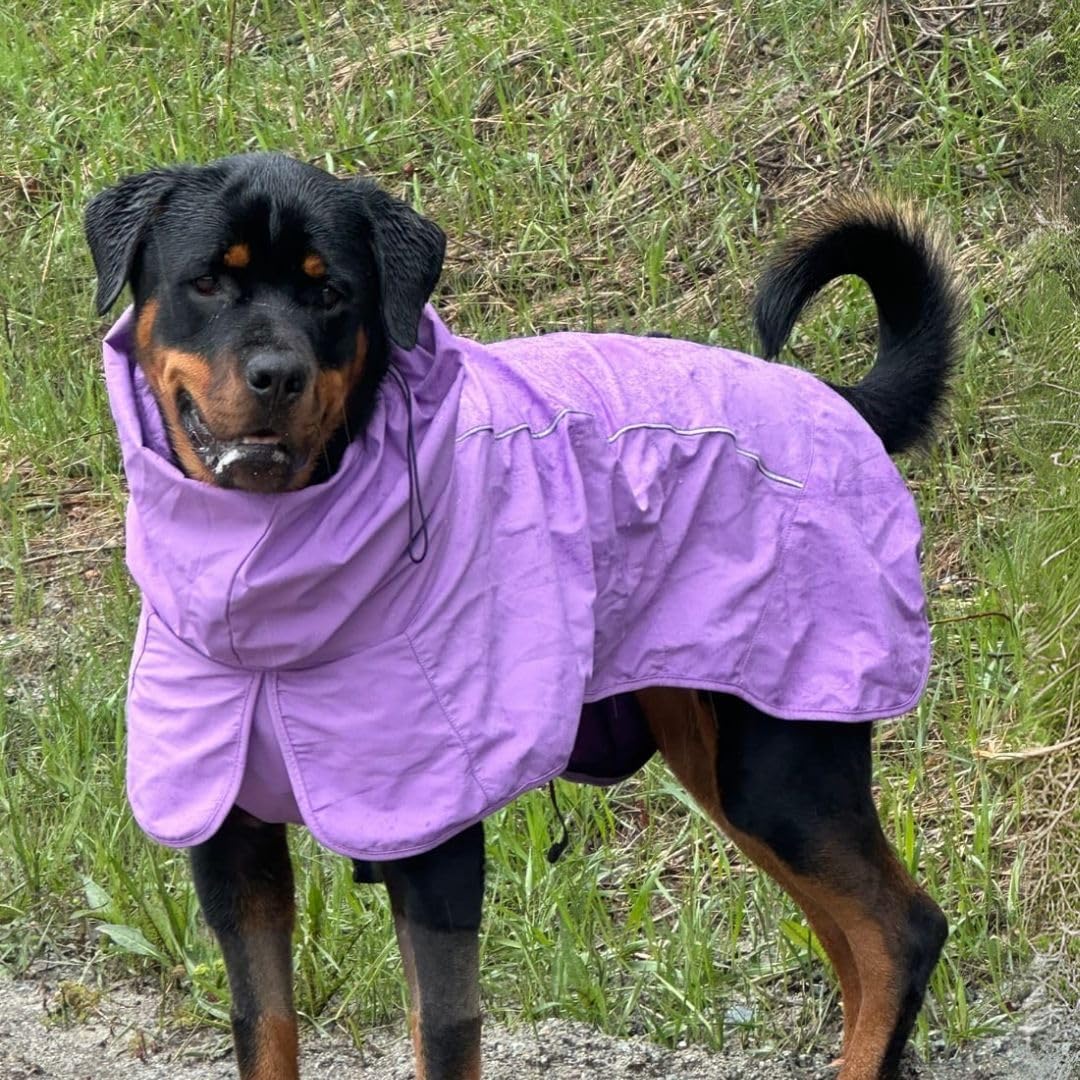 Spark Paws Hunderegenmantel, wasserdichte, Winddichte Regenjacke, für kleine, mittelgrosse, grosse u