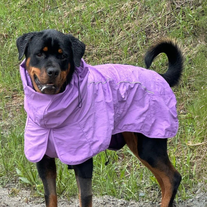 Spark Paws Hunderegenmantel, wasserdichte, Winddichte Regenjacke, für kleine, mittelgrosse, grosse u