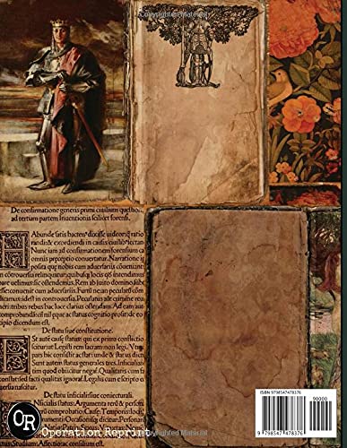 Medieval Junk Journal Pages: 44 Pages Illuminated Renaissance Manuscripts Kings Queens Knights Castl