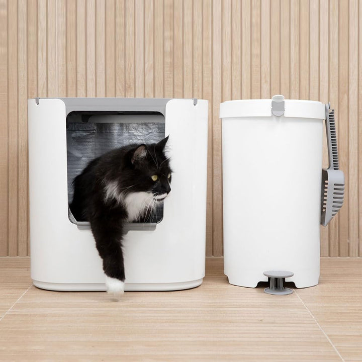 Modkat XL Katzenklo- Top-Entry oder Front-Entry konfigurierbar, Sieht gut aus, reduziert die Litter