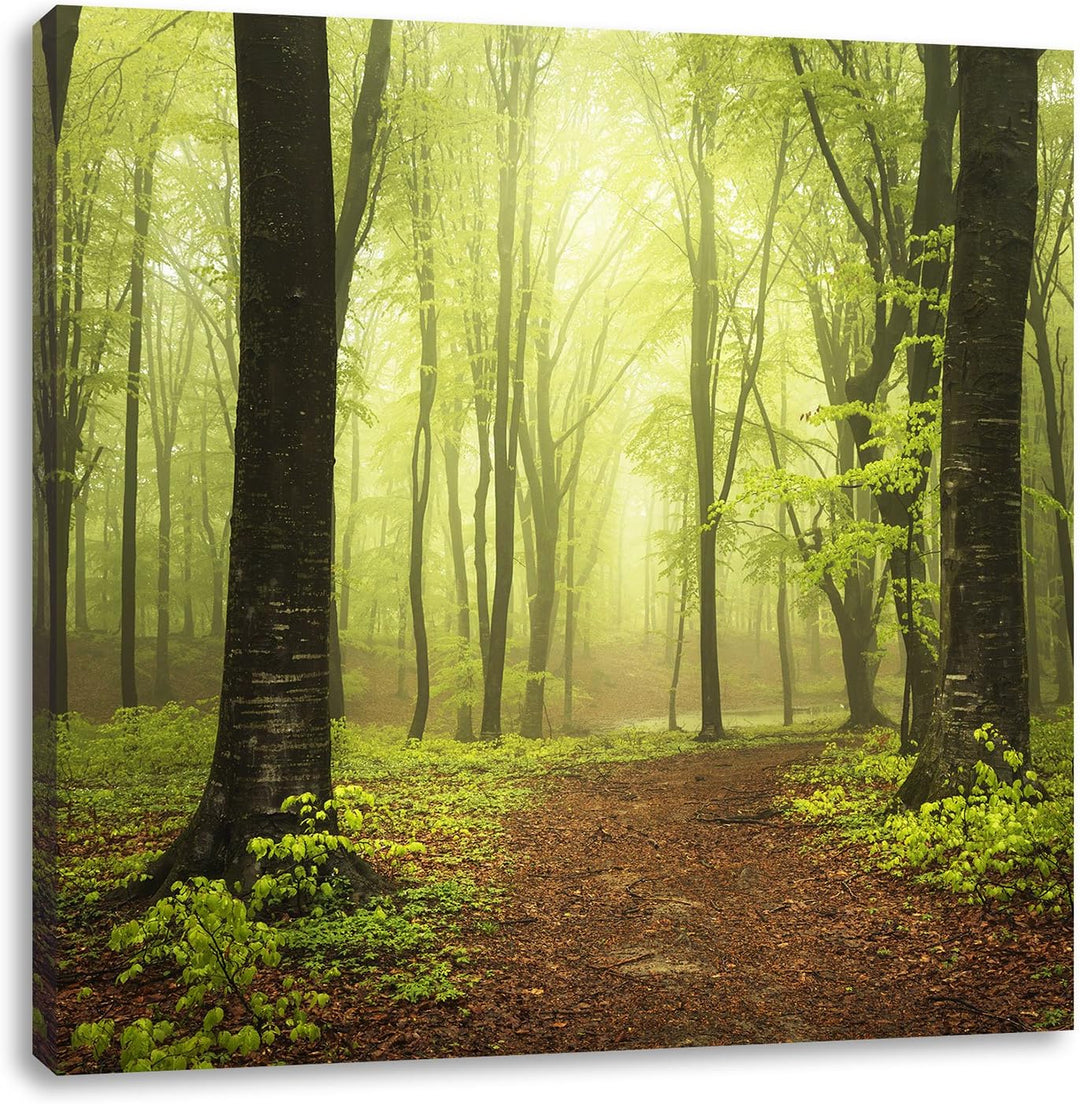 Pixxprint Sonniger Weg im atemberaubenden Wald, Format: 70x70 auf Leinwand, 70x70