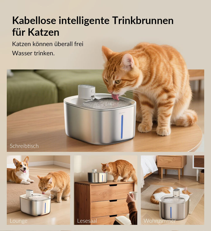 Katzenbrunnen Kabellos mit Bewegungsmelder, 4L Trinkbrunnen für Katze &amp; Edelstahl Hunde mit Batterie