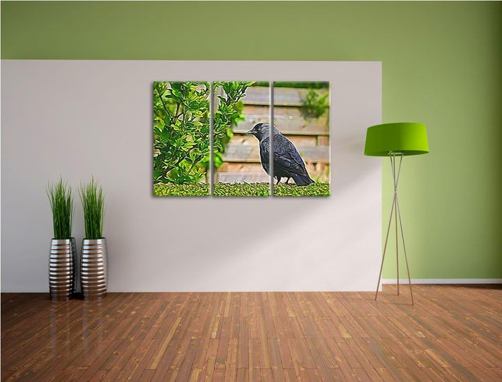 schöner schwarzer Vogel auf Gartenwiese NewArt 3-Teiler Leinwandbild 120x80 Bild auf Leinwand, XXL r