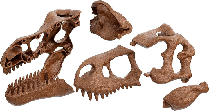 Clementoni - Wissenschaft Archäogiocando-Dig Trex 2in1-Dinosaurus, Fossilien zum Ausgraben und Zusam