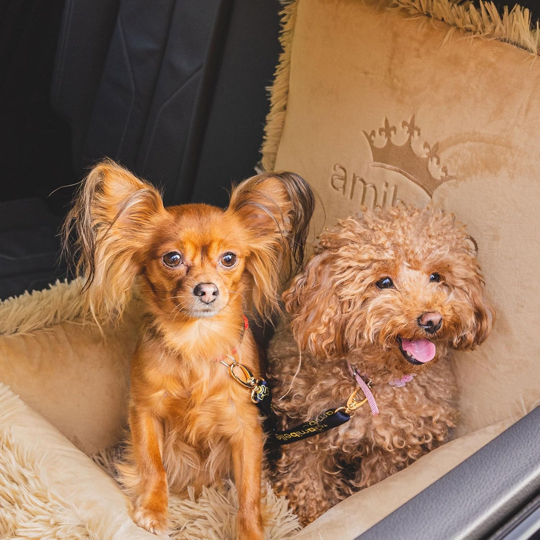 Luxuriös Hunde Auto Sitz | Autositz für Hunde, Rückbank, Vordersitz | Universal Waschbar Hundeautosi