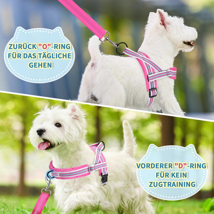 Eyein No-Pull Hundegeschirr mit Leine, Geschirr mit Weich Gepolstertes, Reflektierend, Verstellbares