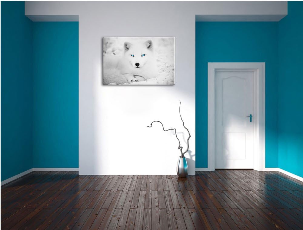 liegender Polarfuchs mit strahlenden Augen schwarz/weiss Format: 100x70 auf Leinwand, XXL riesige Bi