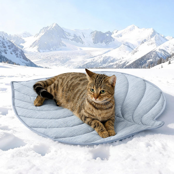 COZY KISS Kühlmatte Hunde &amp; Katzen 68x58cm, Kühldecke mit Blattform-Gewebe Q-Max>0.4, Selbstkühlende
