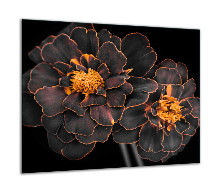 TMK ArtDeko Herdabdeckplatte 1 Teilig 60x52 cm - Spritzschutz Herdabdeckung – Herdschutz aus Sicherh