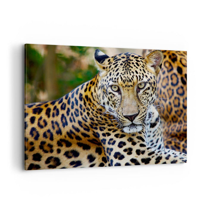 Bilder auf Leinwand 100x70cm Leinwandbild Leopardpanther Katze Tier Savanne Gross Wanddeko Bild Schl