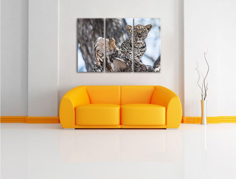 Pixxprint Neugieriges Leopardjunges auf Baum 3-Teiler Leinwandbild 120x80 Bild auf Leinwand