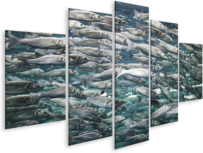 Bild auf Leinwand Makrele Viele Fische Unterwasseransicht Wandbild Poster Kunstdruck Bilder Format: