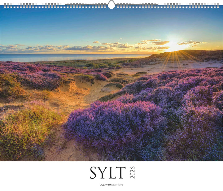 Alpha Edition - Sylt 2026 – XXL Bildkalender 60×50 cm, Panorama-Wandkalender im Querformat, Landscha