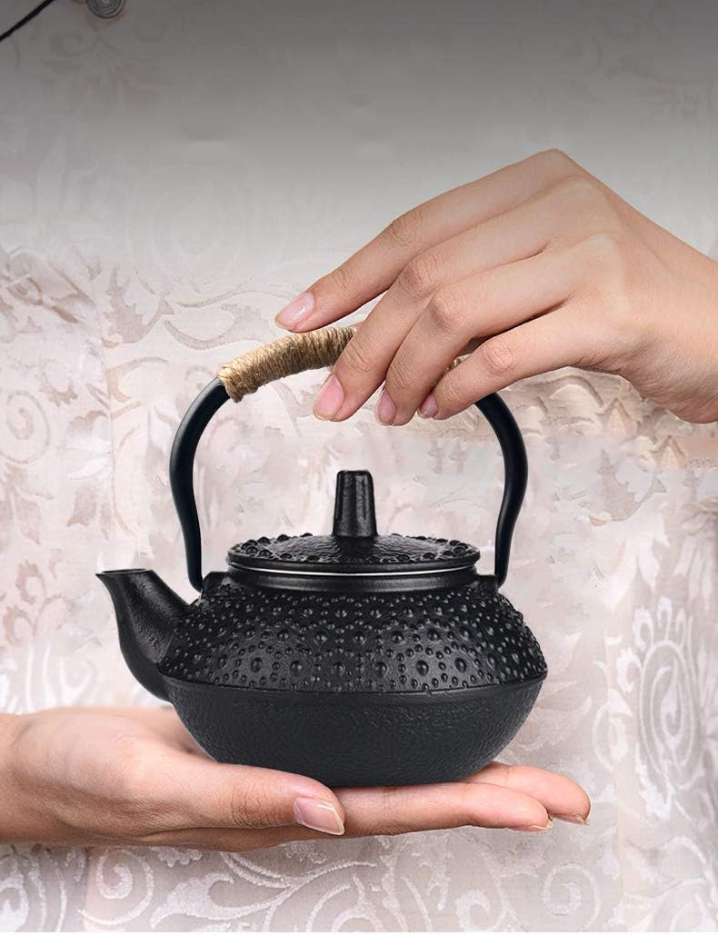 Webao Teekanne aus Gusseisen Traditionelle Eisen-Kanne Tea for ONE Teekanne Japanischer Stil inkl 30