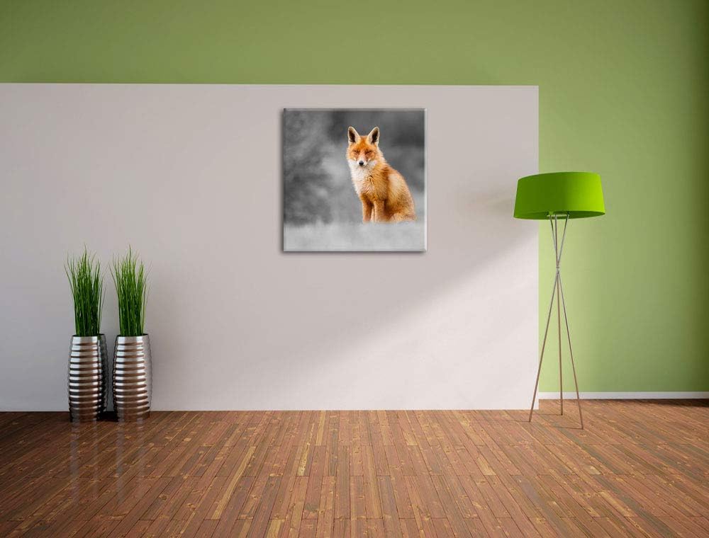 Pixxprint prachtvoller Fuchs schwarz/weiss, Format: 70x70 auf Leinwand, 70x70