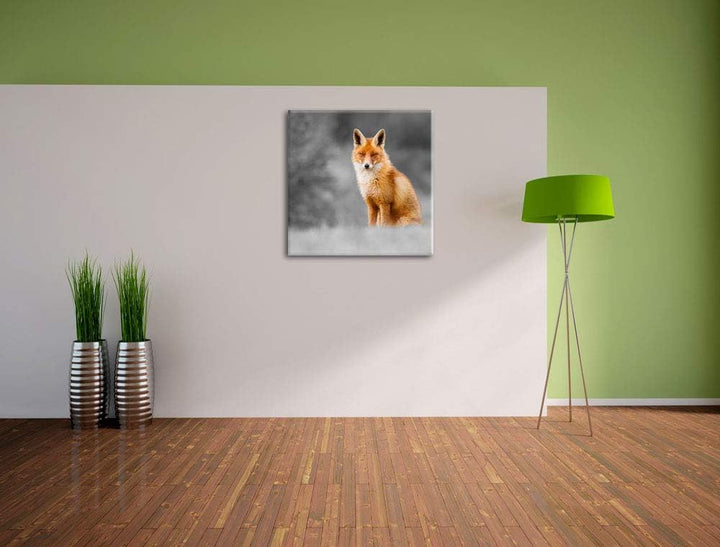 Pixxprint prachtvoller Fuchs schwarz/weiss, Format: 70x70 auf Leinwand, 70x70
