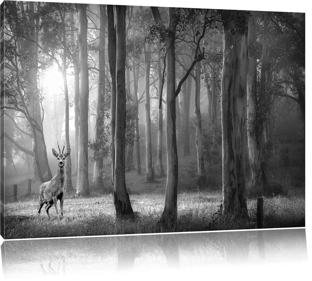 Pixxprint Hirsch im Wald als Leinwandbild/Grösse: 100x70 cm/Wandbild/Kunstdruck/fertig bespannt, 100