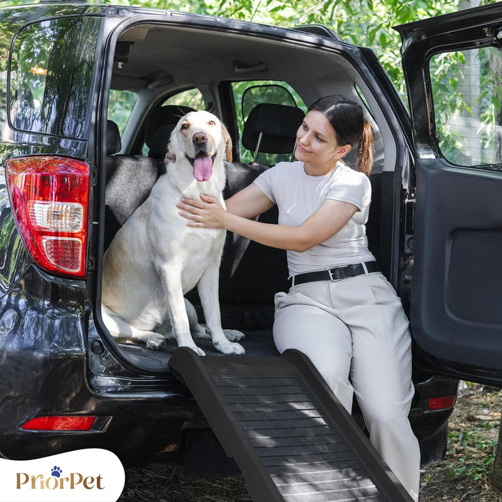 Hunderampe Auto Klappbar – 174 cm Lang & 38 cm Breit – rutschfeste Gummi Rampe für grosse Hunde – St