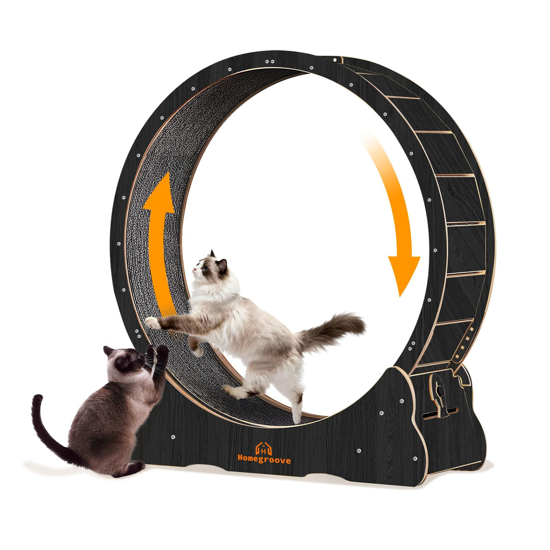 Homegroove XXL Katzenlaufrad, 52"/132 cm grosses Katzenrad, Massivholz-Laufband für Katzen mit integ