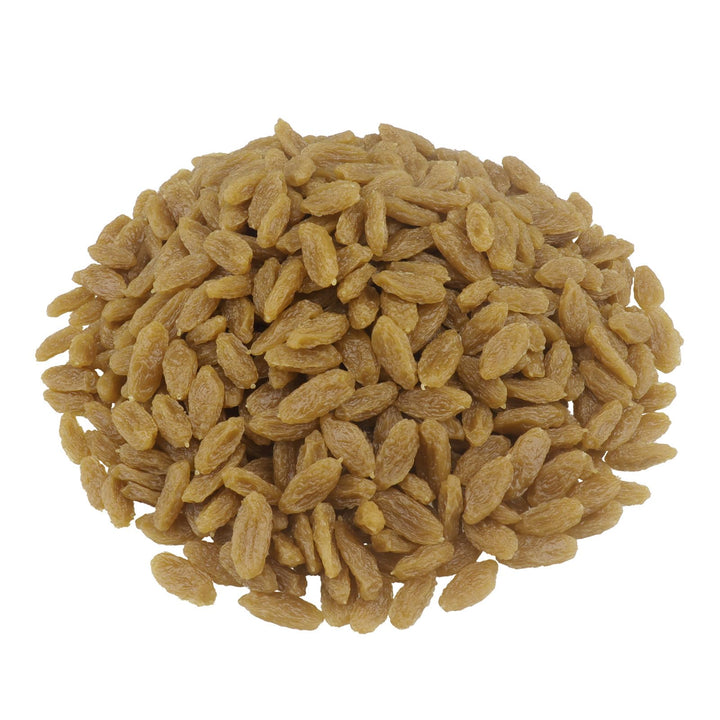 ginojex Künstliche grüne Rosinen 500g (710Pcs) gefälschte getrocknete Früchte für Hauptküche Tisch M