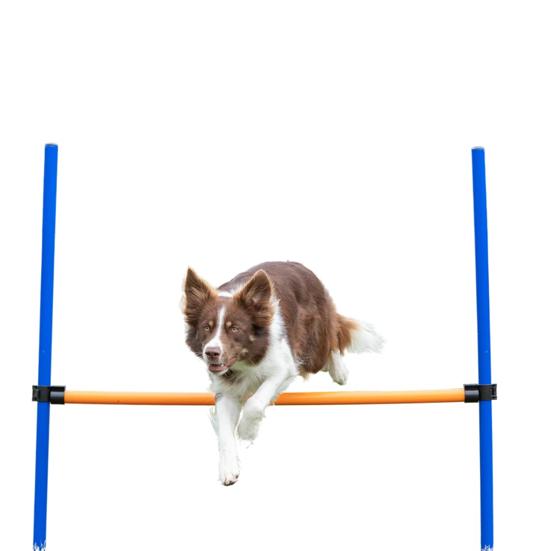 Trixie 3207 Dog Activity Agility Hürde, 123 × 115 × ø 3 cm, blau/orange
