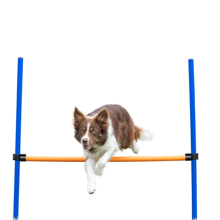 Trixie 3207 Dog Activity Agility Hürde, 123 × 115 × ø 3 cm, blau/orange