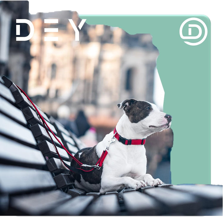 DEY - Premium Hundeleine Air Mesh 2m | 3fach Verstellbar | für Kleine, Mittelgrosse u. Grosse Hunde