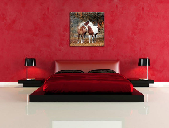 zwei schmusende Pferde, Format: 70x70 auf Leinwand, XXL riesige Bilder fertig gerahmt mit Keilrahmen