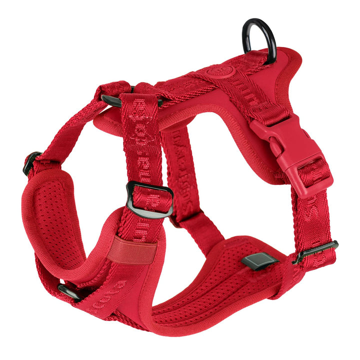 No Pull Hundegeschirr mit weicher Lycra-Polsterung, atmungsaktiver Komfortweste aus Mesh, Verstellba
