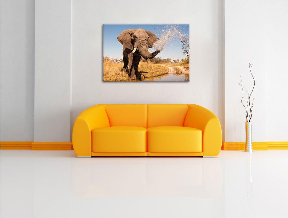 Pixxprint schöner Elefant spritzt mit Wasser als Leinwandbild/Grösse: 120x80 cm/Wandbild/Kunstdruck/