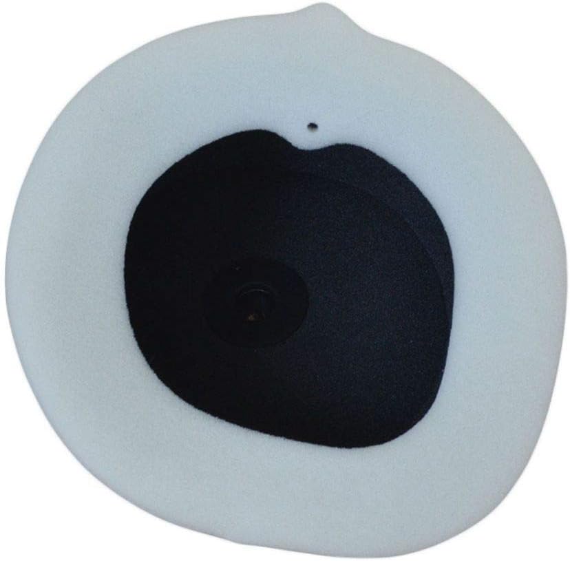 Athena S410510200019 Luftfilter