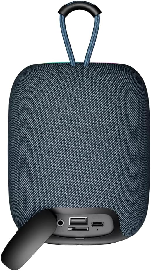 Canyon Bluetooth Speaker BSP-8 grau