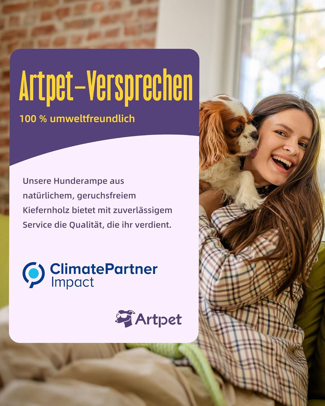 Artpet Hunderampe für Sofa Bett Klappbar Rampe Klappbar für kleine Hunde Katzen Einstellbar 34-53 cm