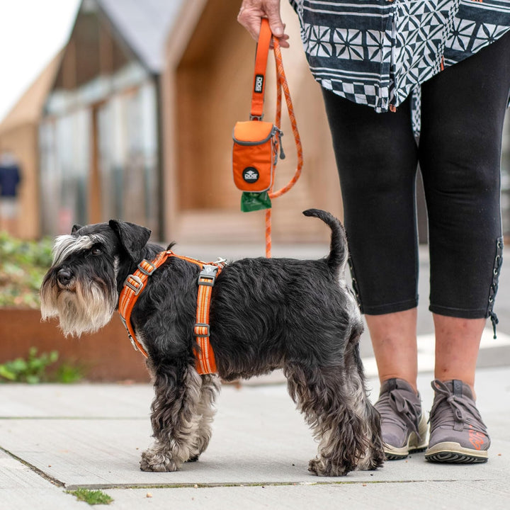 DOG Copenhagen Comfort Walk Air 3.0 Hundegeschirr - Geschirr für Hunde - Welpengeschirr, Lemon, XS L