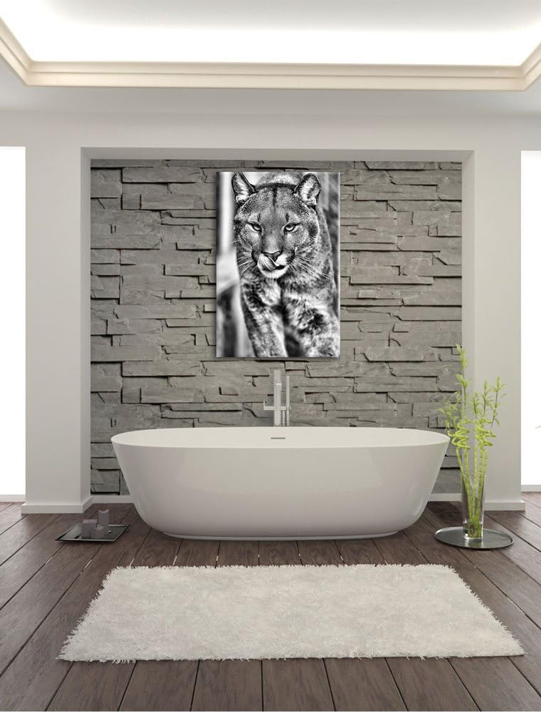 Monocrome, anmutiger Puma, Format: 100x70 auf Leinwand, XXL riesige Bilder fertig gerahmt mit Keilra